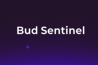 Bud Sentinel — Resource Aware Attention